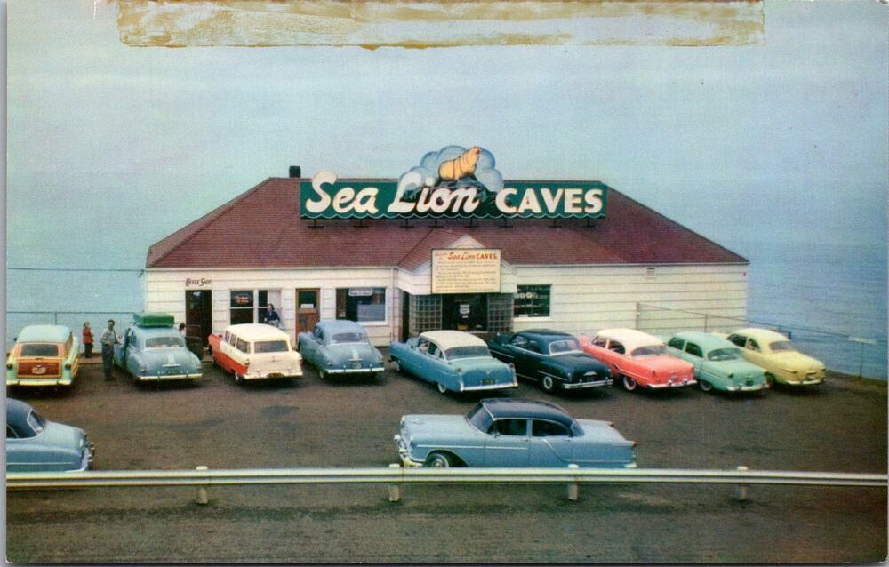 Sea Lion Caves in Florence OR Vintage Postcard SP6-10